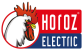 HOROZ ELECTRIC