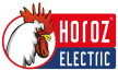 HOROZ ELECTRIC