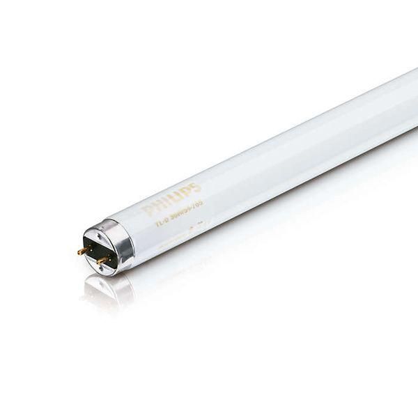 Лампа T8(G13) 36W/54(765) люмінісцентна PHILIPS (10018814)