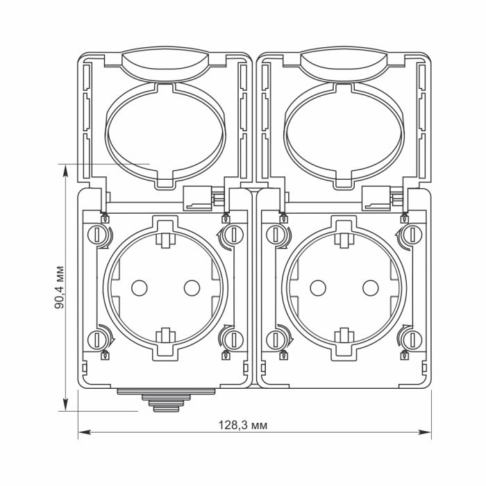 IP65 Розетка 2- на з кришками З/К зовнішня сіра Videx Binera VF-BNW22G-G (pack-5pcs) (25186)